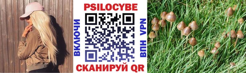 Псилоцибиновые грибы Psilocybine cubensis  OMG как войти  Вилючинск 