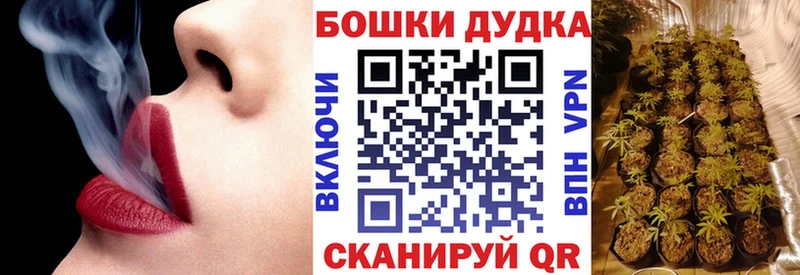 площадка наркотические препараты  купить наркотик  Вилючинск  Бошки Шишки семена  ссылка на мегу ТОР 